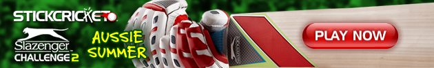 Stick Cricket Slazenger Challenge